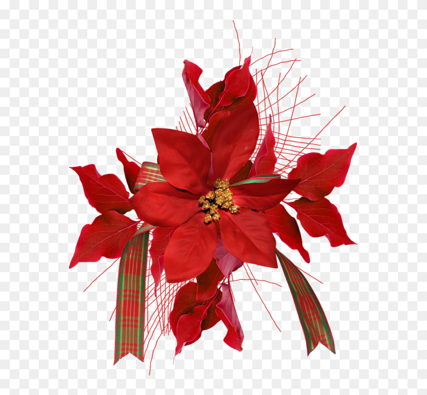 Transparent Floral Clipart - Floral Design - Png Download