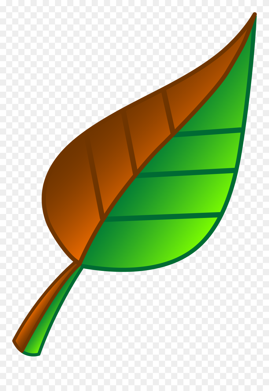 Vector Clipart Leaf - Brown And Green Leaf - Png Download