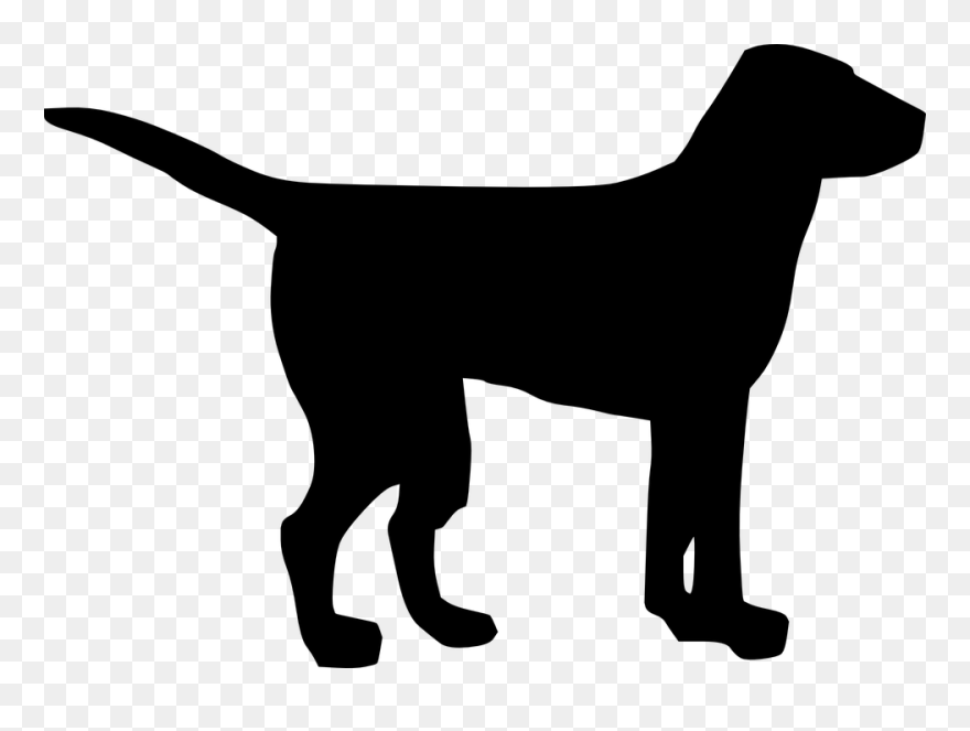 Clip Art Pug Labrador Retriever Golden Retriever Puppy - Black Dog Clip Art - Png Download