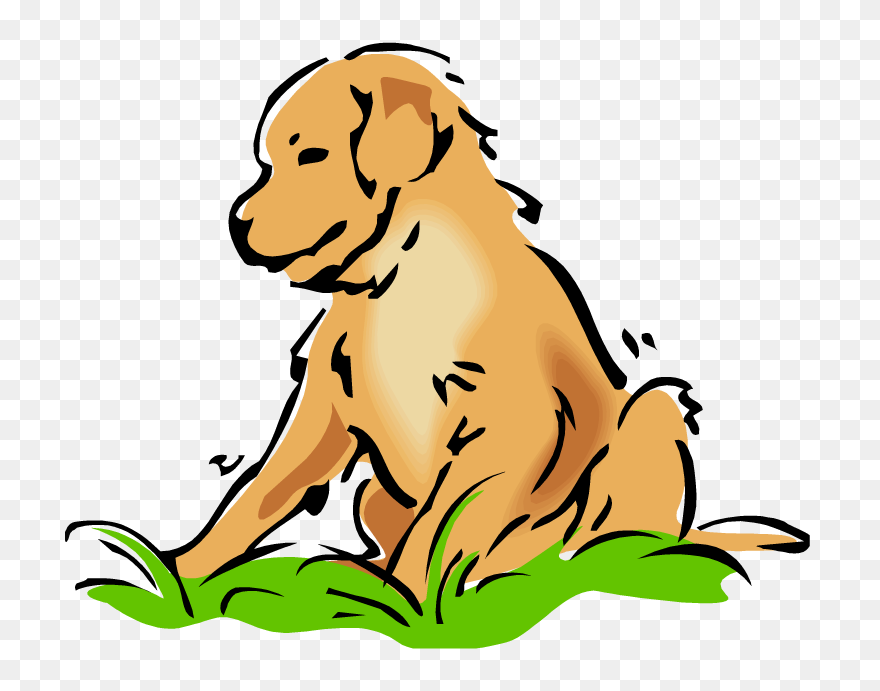 Golden Retriever Clipart