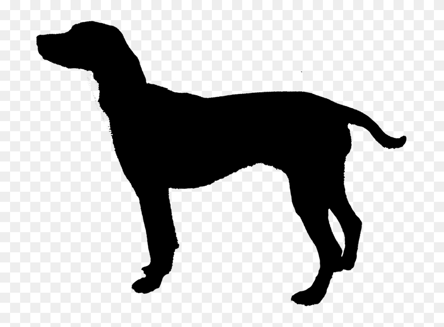 Clip Art Labrador Retriever Silhouette English Mastiff - Mastiff Dog Silhouette - Png Download