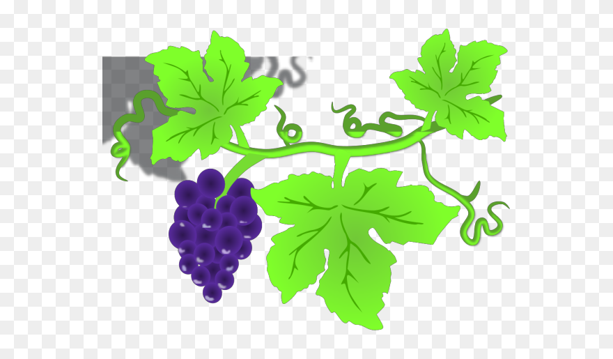 Grape Vine Png Icons - Clip Art Grape Leaves Transparent Png