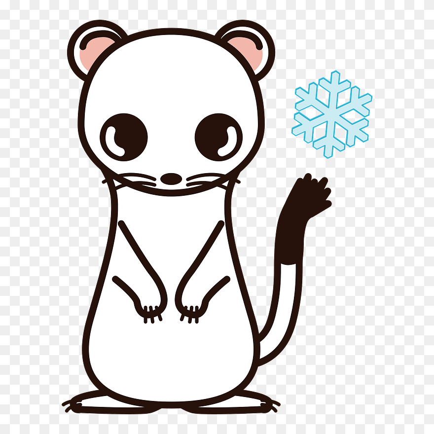 Short-tailed Weasel Clipart - Cartoon - Png Download