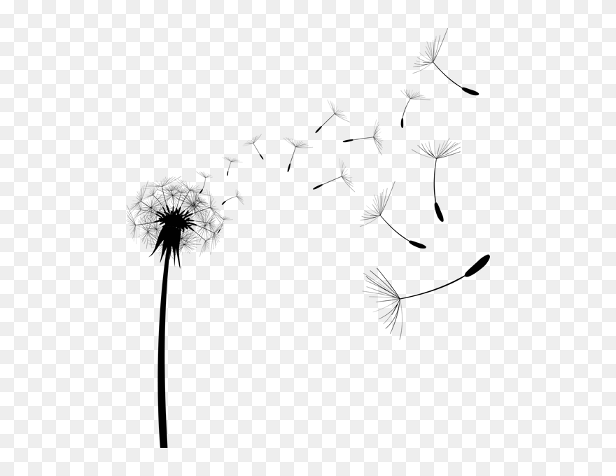 Common Dandelion Pissenlit Tattoo - Dandelion Vector Clipart