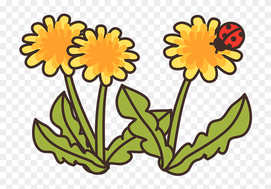 Dandelion Flower Clipart - たんぽぽ 簡単 イラスト - Png Download