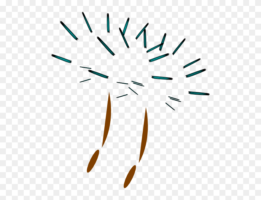Transparent Dandelion Clip Art - Png Download