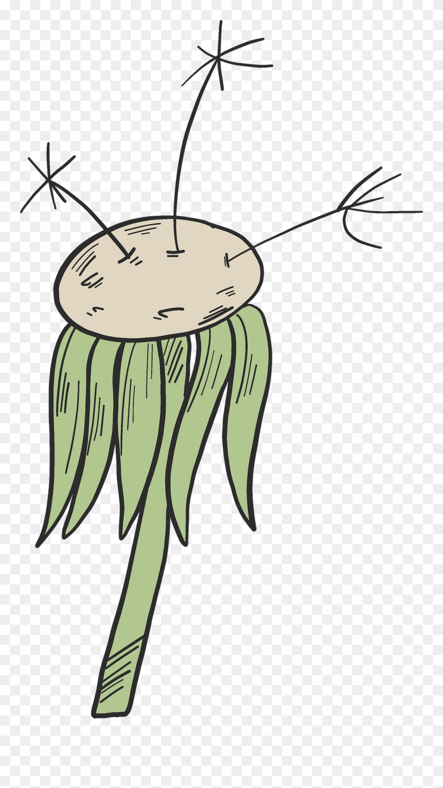 Clip Art - Png Download