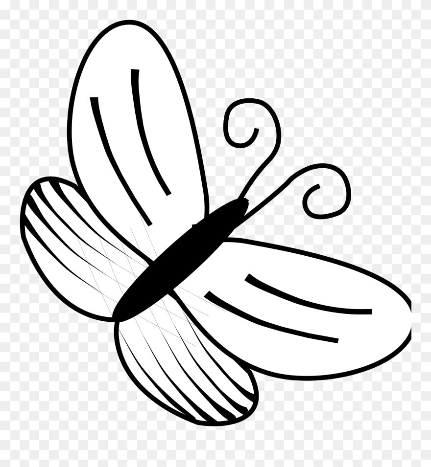 Butterflies Clipart Line Drawing 6 Butterfly Black - Butterfly Images In Black And White - Png Download