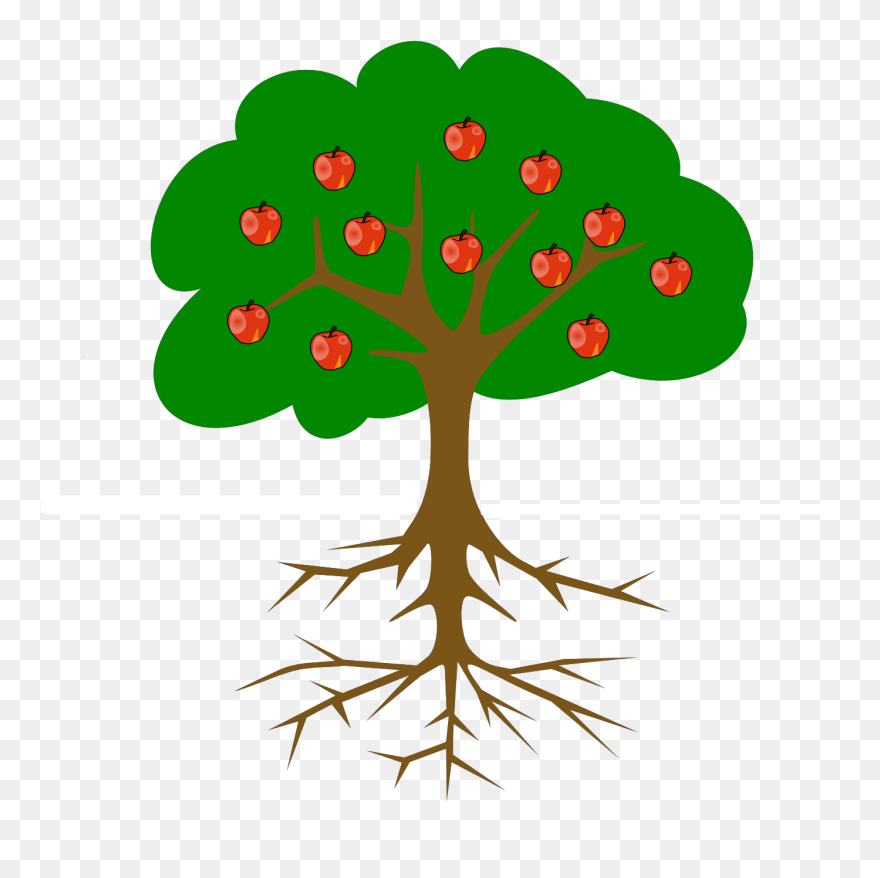 Apple Tree With Roots Clipart