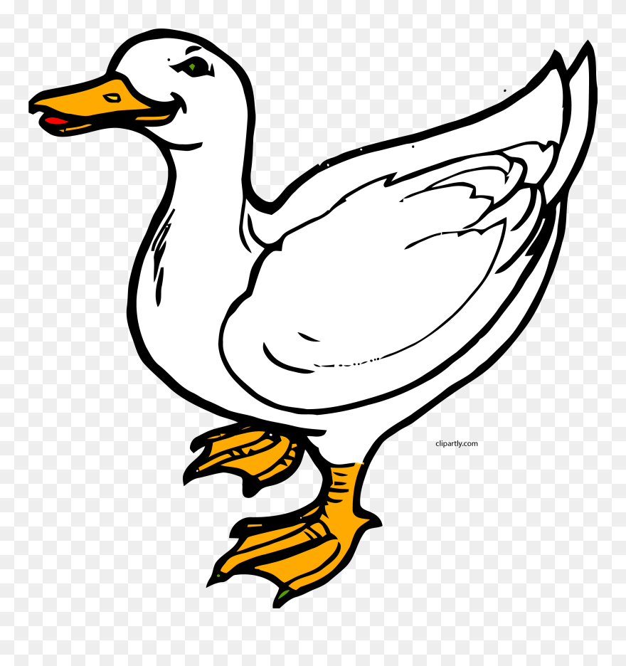 White Duck Clip Art Clipart Png - Clip Art Of Duck Transparent Png