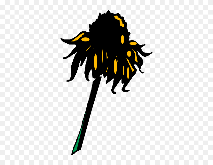 Flower - Wilted Sunflower Clipart - Png Download