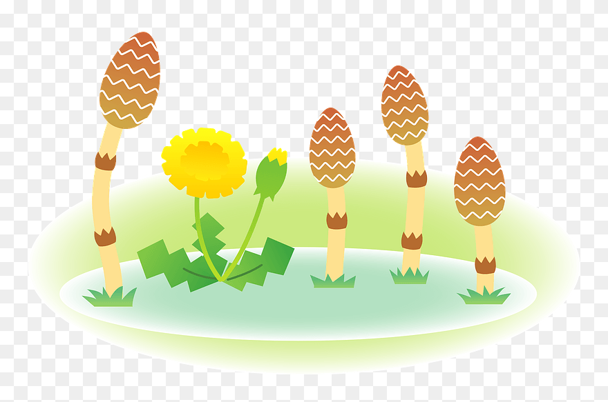 Fertile Shoots Dandelion Clipart - Illustration - Png Download
