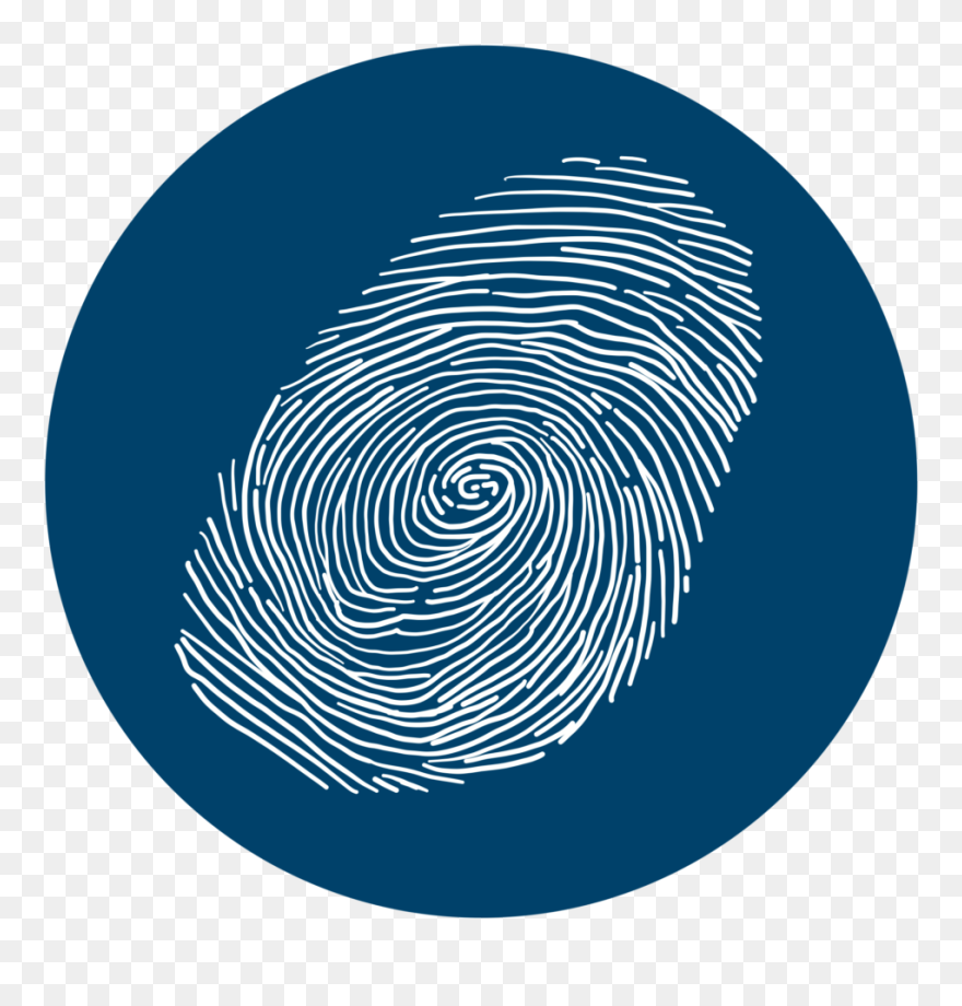 Washington State Code Backgorund Clipart Jpg Transparent - Circle - Png Download