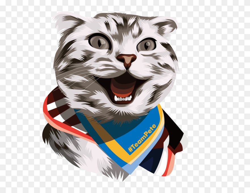 Excited Happy Cat Meme Lis Smith Pete Buttigieg Peteswag - Pete Buttigieg Clipart