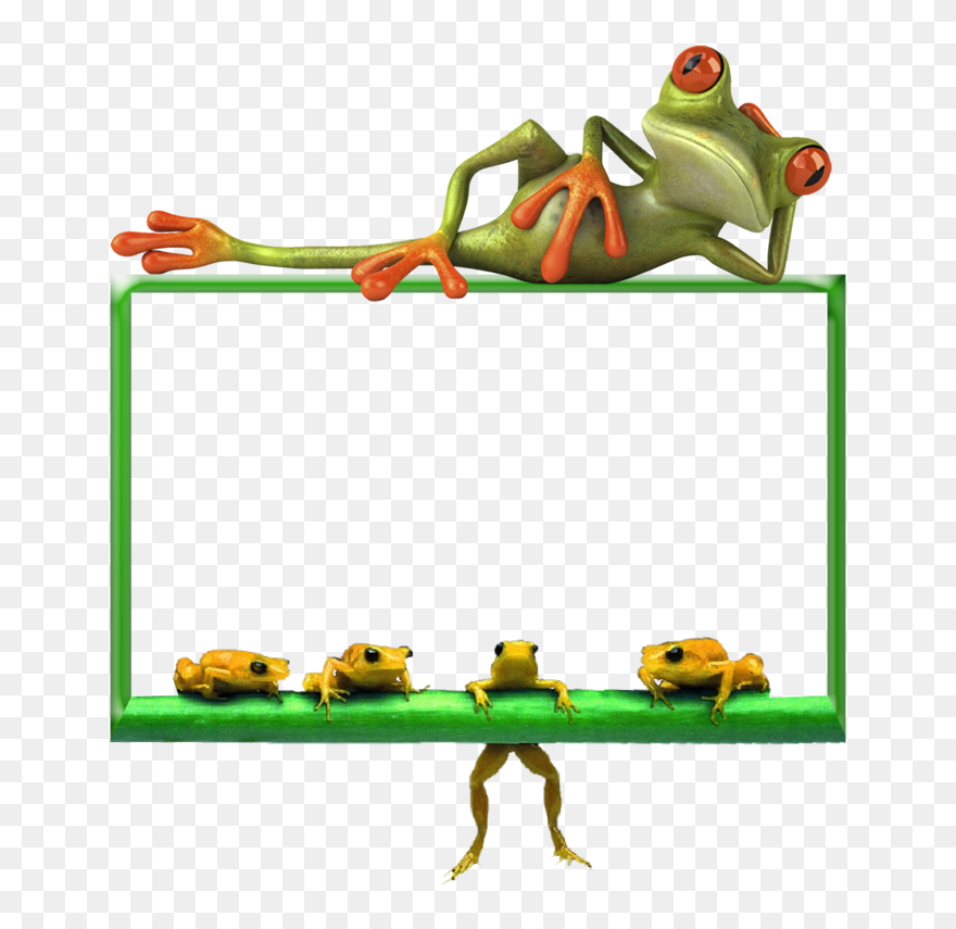 Funny Frog Png Clipart