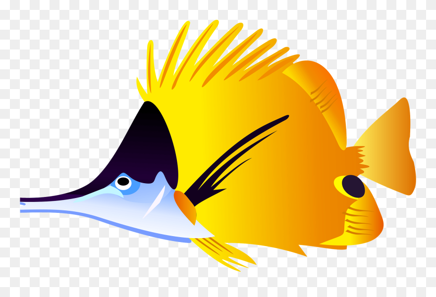 Tropical Fish Clipart - Png Download