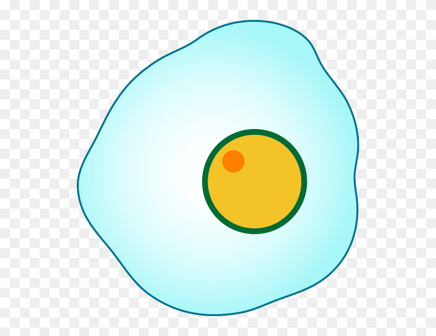 Interphase Clipart Graphic Stock Interphase Clip Art - Circle - Png Download