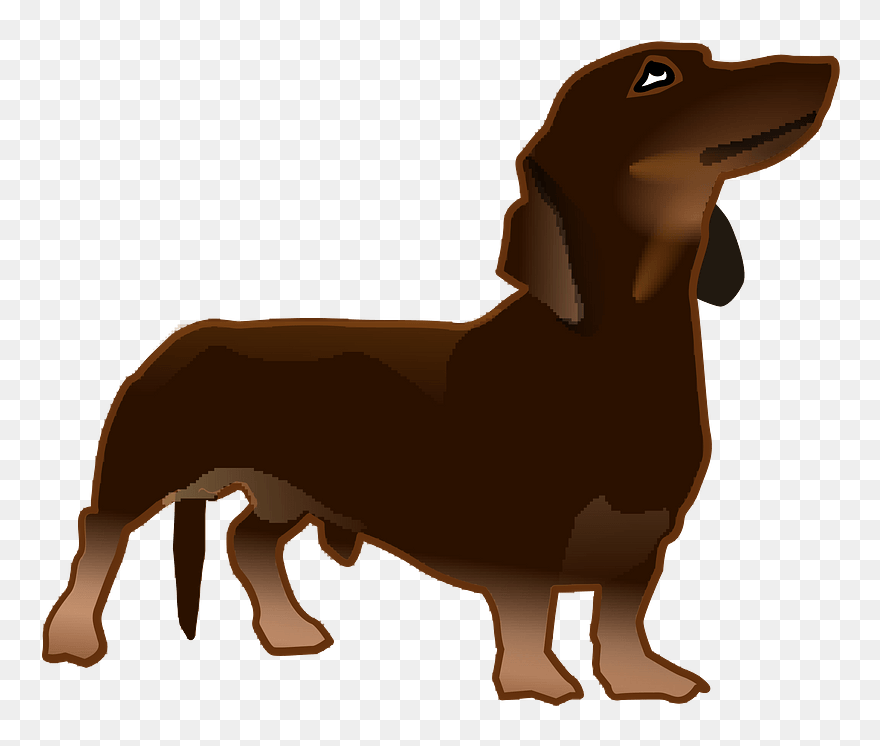 Dachshund Dog Clipart - Dachshund Clipart Transparent - Png Download