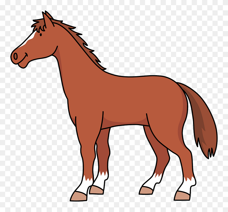 Thoroughbred Horse Animal Clipart - Transparent Background Horse Clipart - Png Download