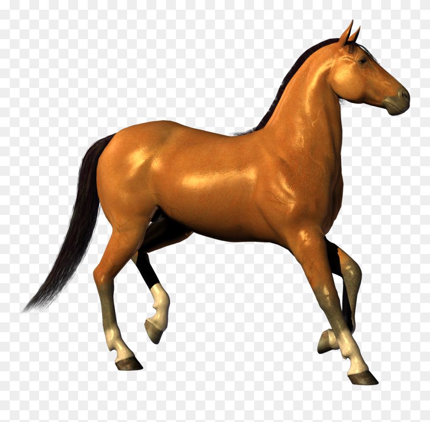 Transparent Horse Clipart - Horse Png Transparent Clipart