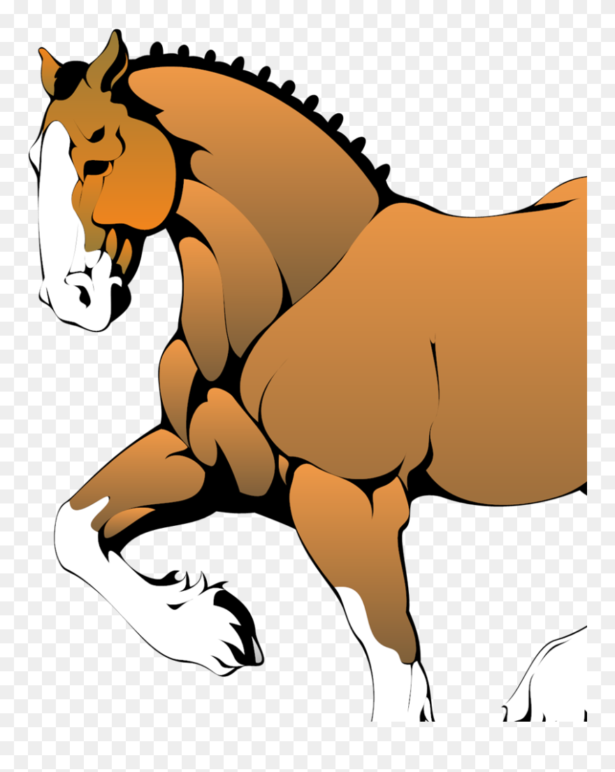 Dancing Horse Gif Png Clipart