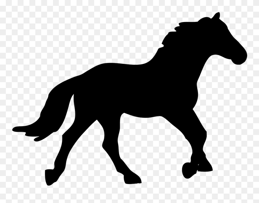 American Quarter Horse Silhouette Equestrian Clip Art - Silhouette Horse Canter - Png Download