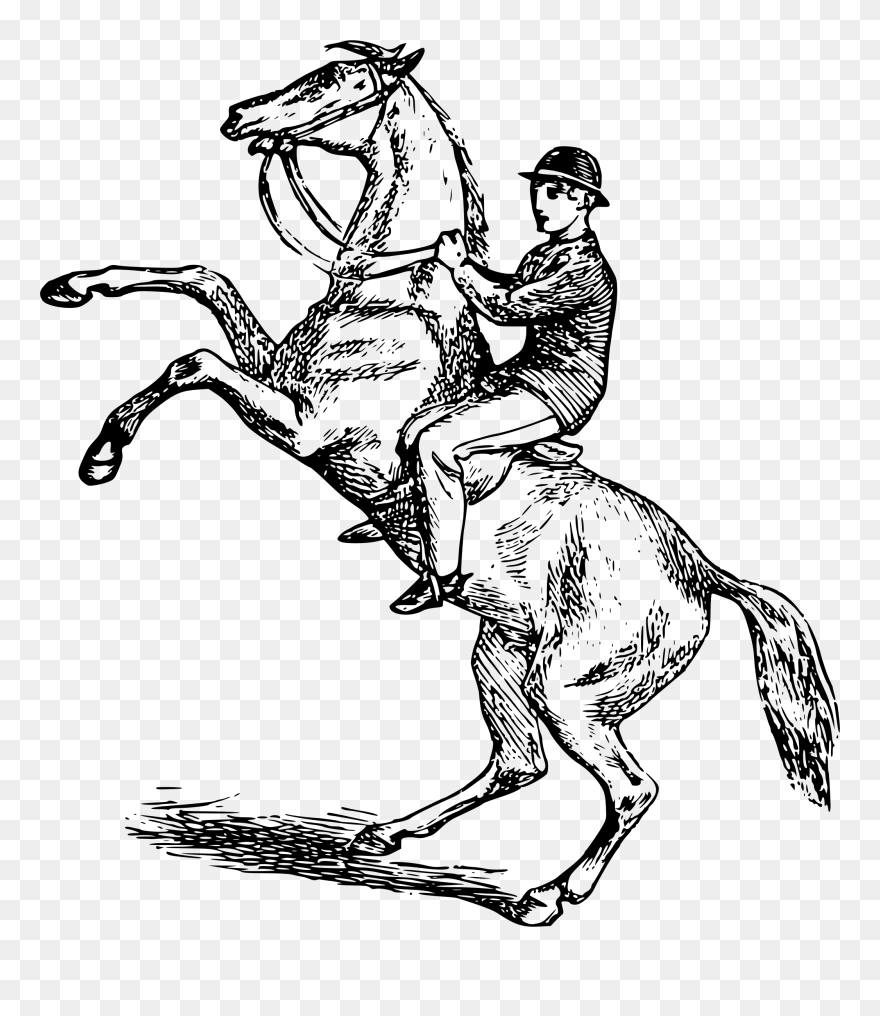 Horse Png Clipart Png - Horse Riding Clip Art Transparent Png