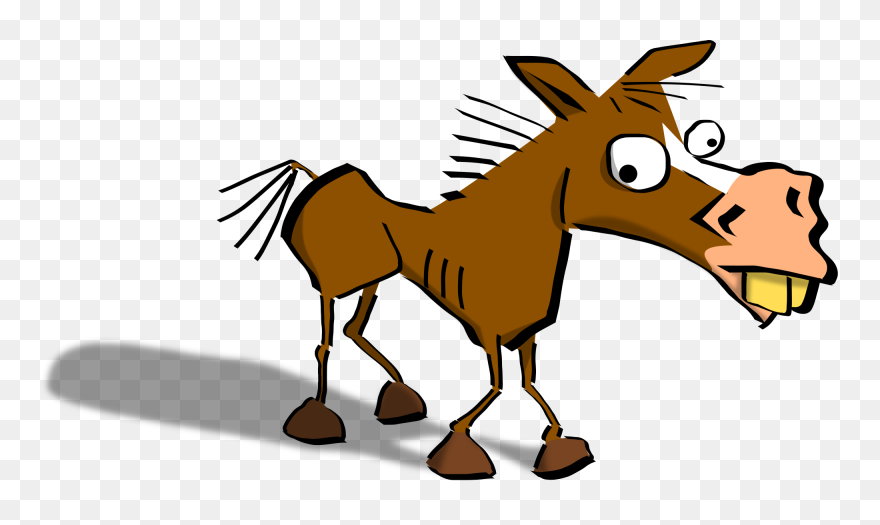 Transparent Bewildered Clipart - Wet Donkey - Png Download