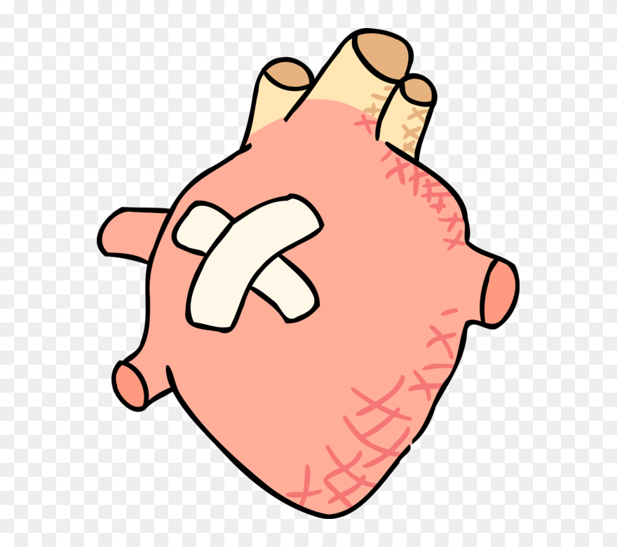 Vector Illustration Of Human Heart With Band Aid - Real Heart With Bandaid Clipart