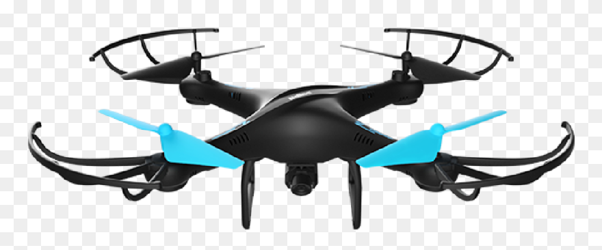 Blue Jay Drone Clipart