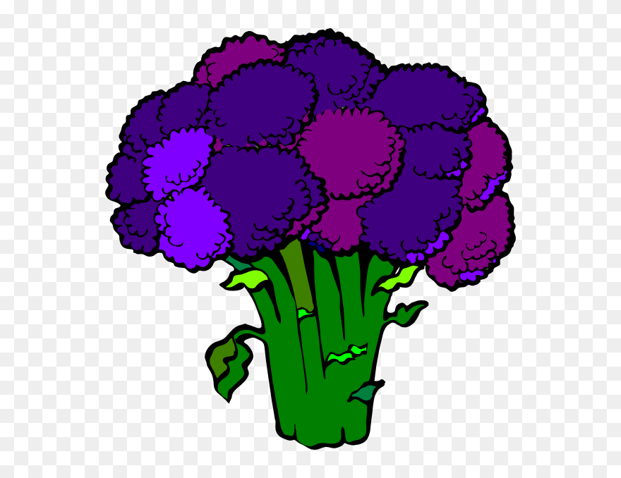 Broccoli Clipart Png Transparent Png