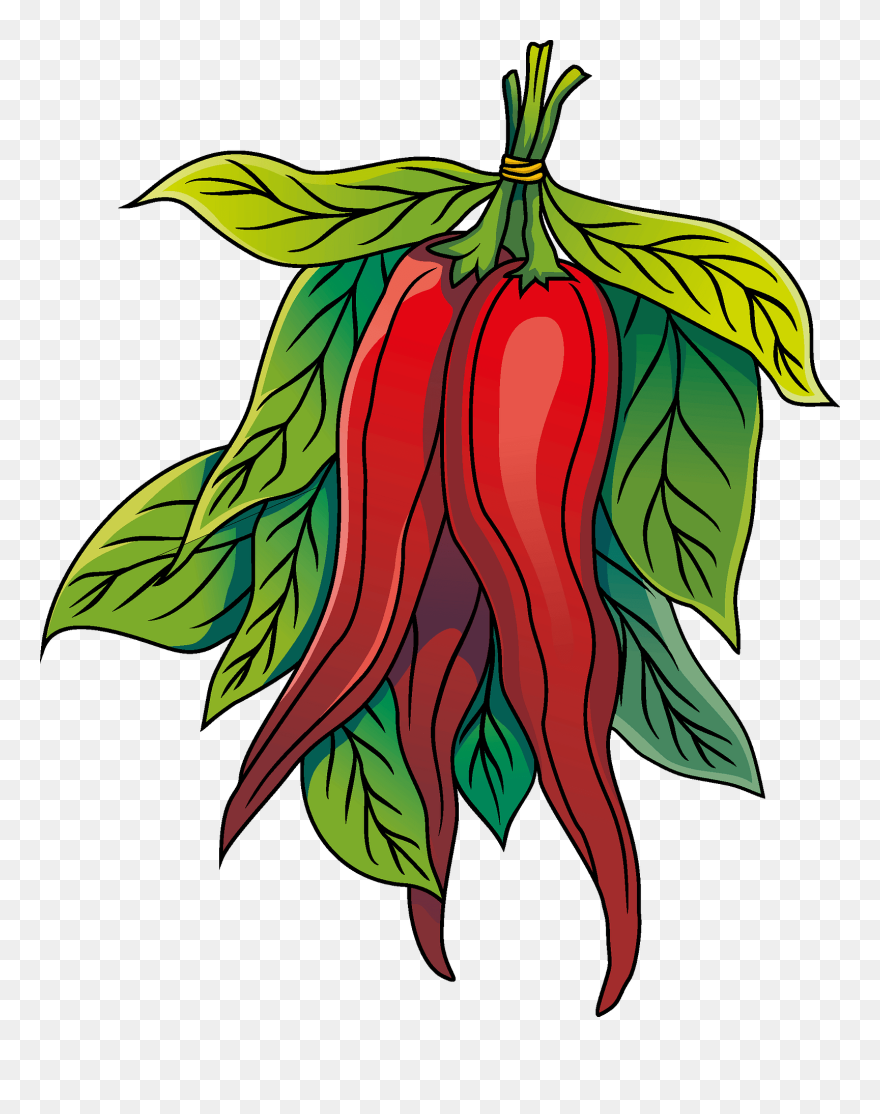 Chili Clipart - Png Download