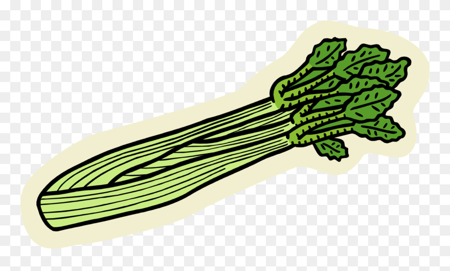 Vector Illustration Of Edible Vegetable Celery Stalk - Celery Clip Art - Png Download