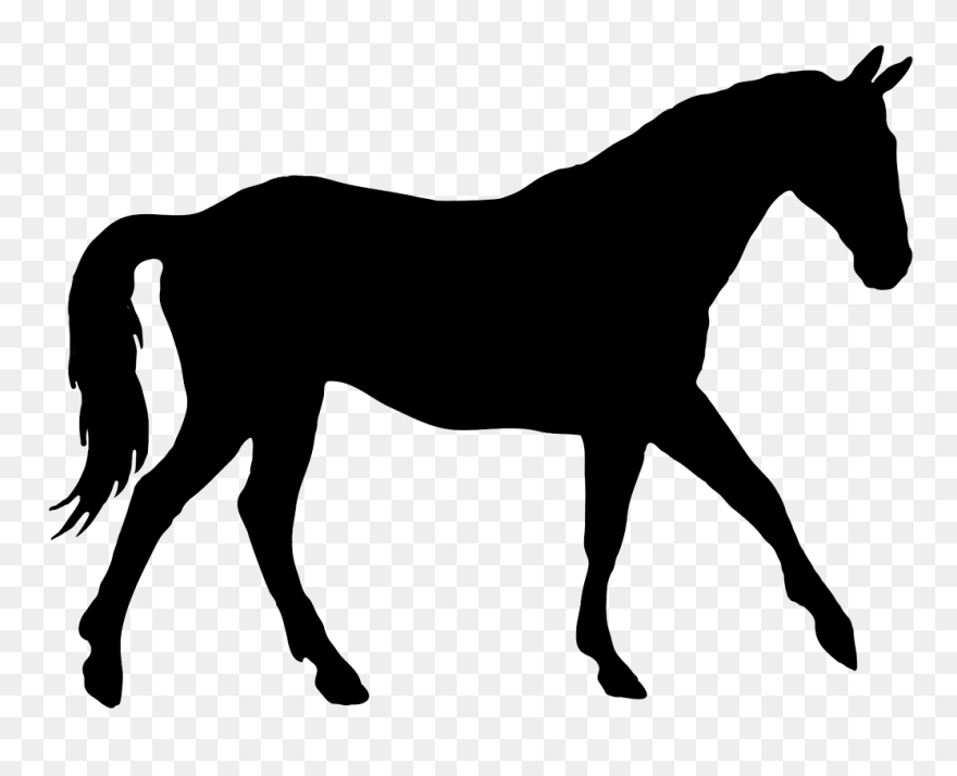 1000 Ideas About Horse Silho - Horse Silhouettes Clipart