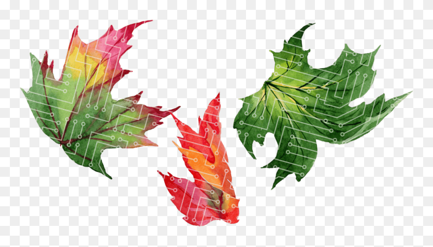 Illustration Clipart