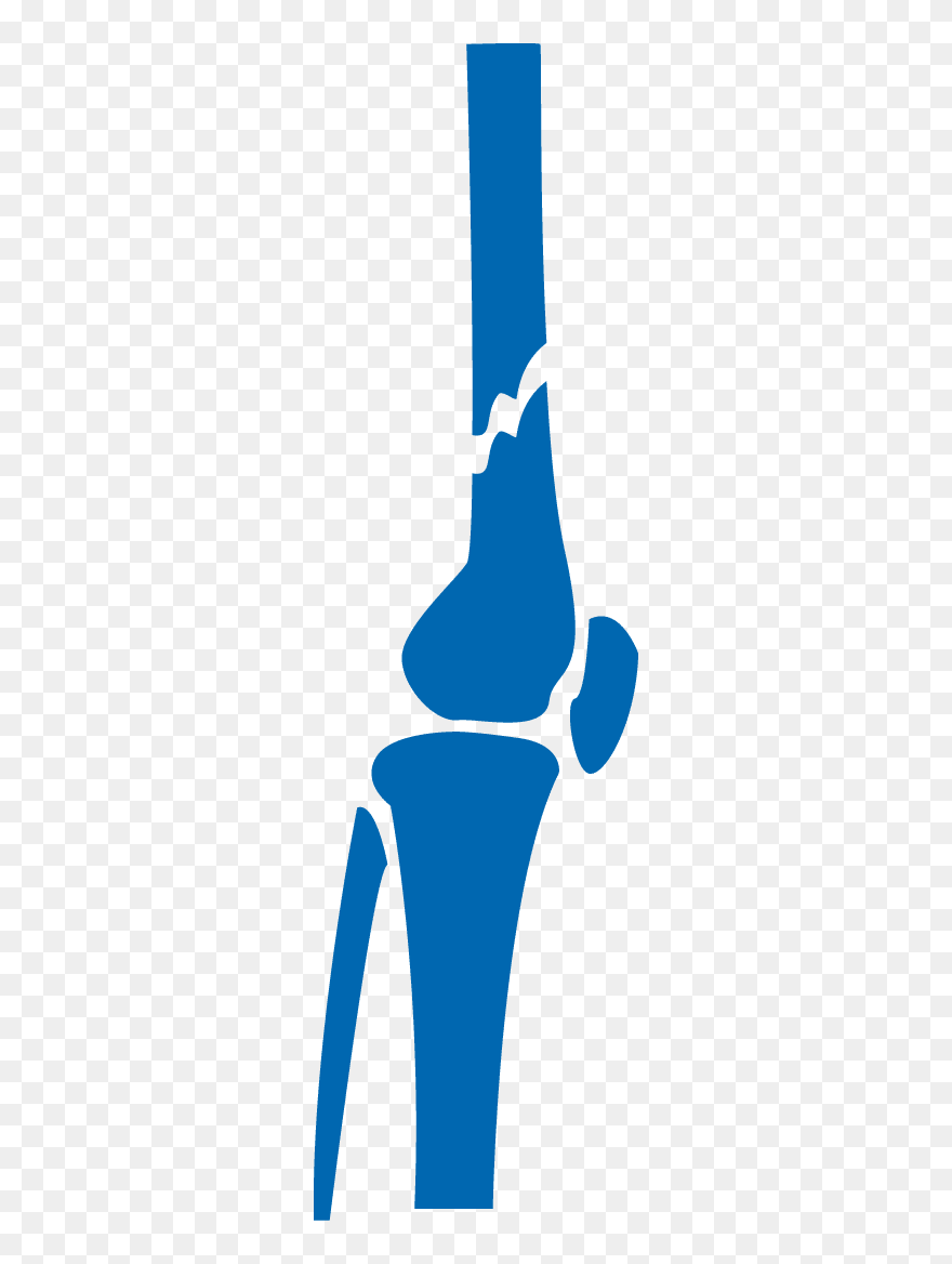 Total Orthopedics Sports & Spine Clipart