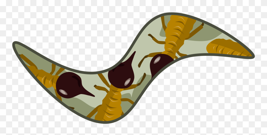 Clip Art - Png Download