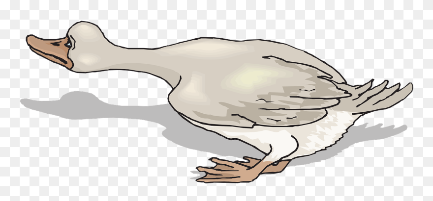 Scared Duck Clipart - Png Download