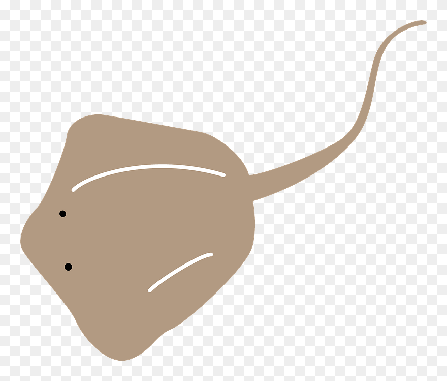 Batoidea Ray Fish Clipart - フリー 素材 エイ イラスト - Png Download