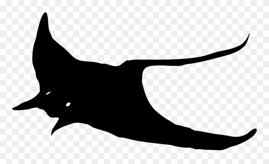 Transparent Stingray Clipart - Manta Ray Vector - Png Download