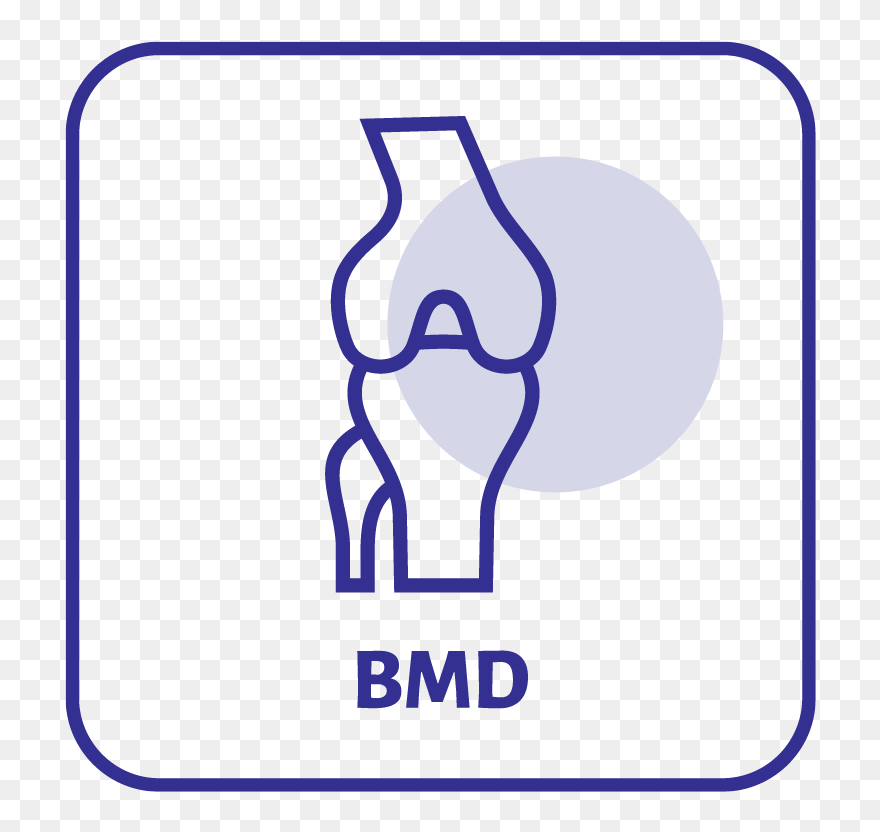 X Ray Clipart - Png Download