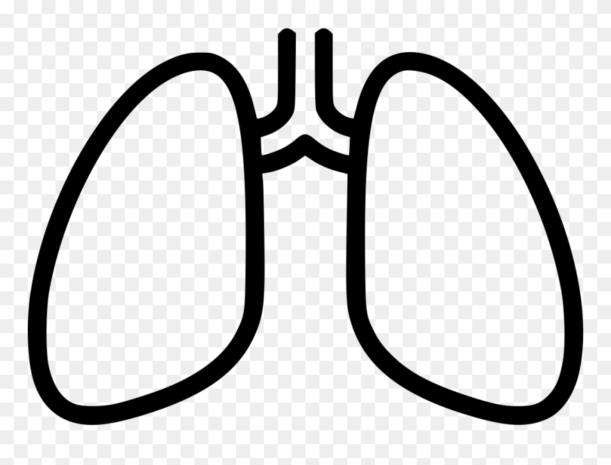 Xray Clipart Black And White, Xray Black And White - Lung - Png Download