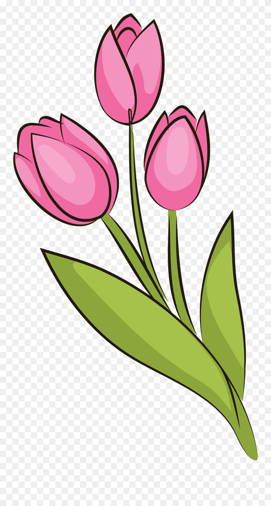 Bouquet Of Tulips Clipart - Tulips Clipart - Png Download