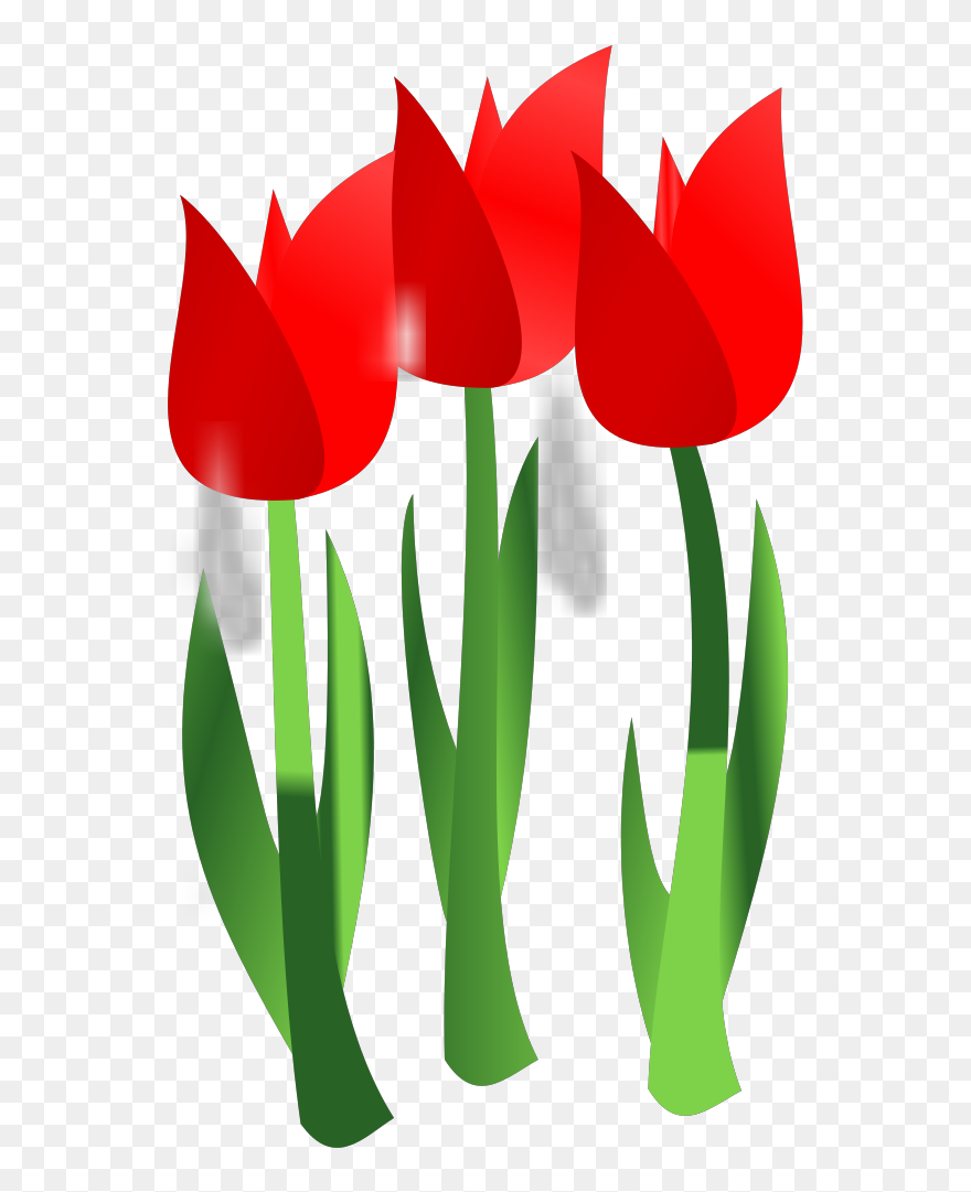 Mothers Day Flowers Vector Clipart