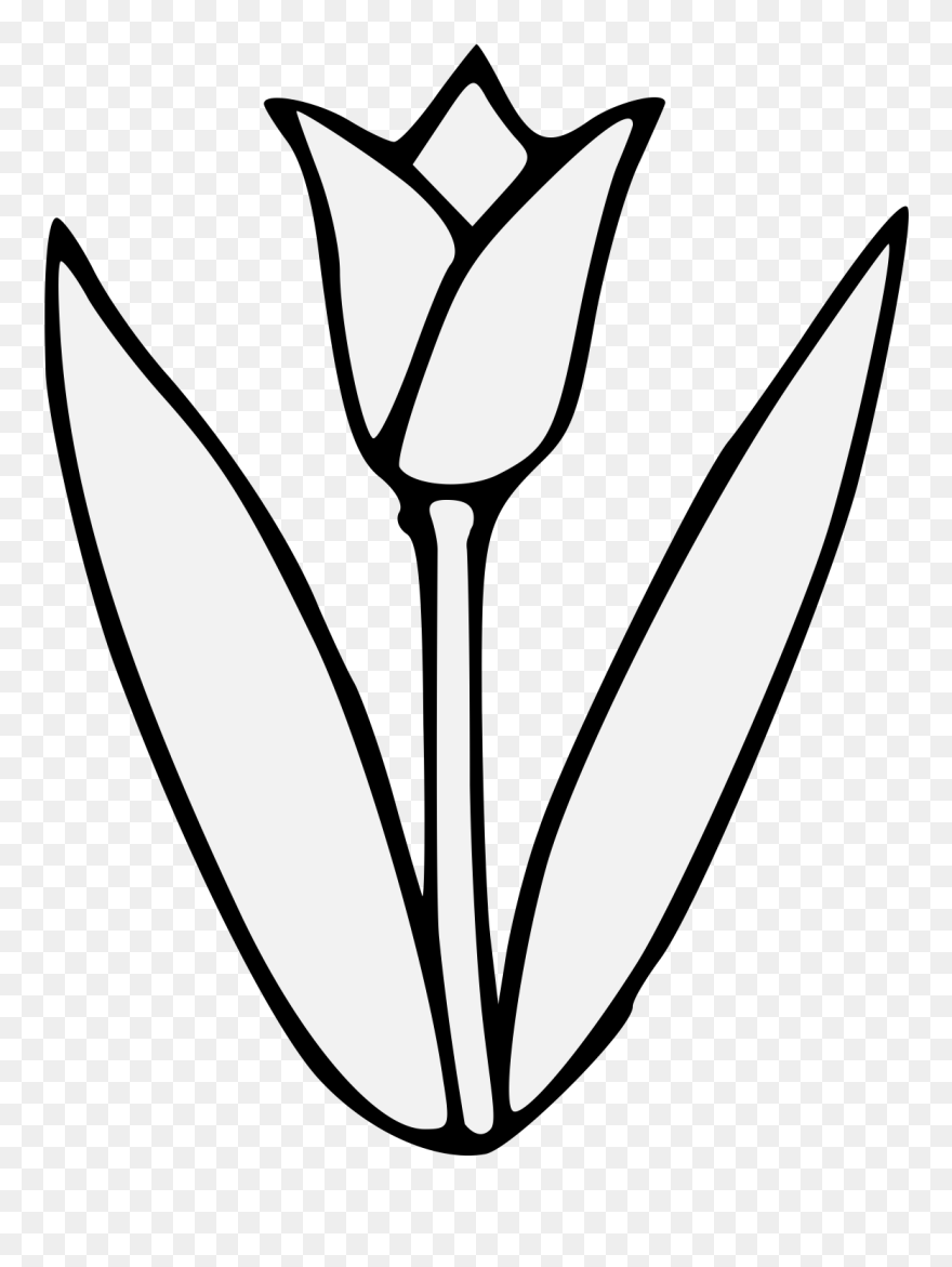 Tulip Clipart Tulip Flower - Tulip Flower Clipart Black And White - Png Download