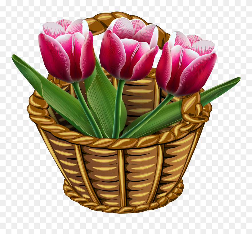 Transparent Tulips Clipart - Доброе Утро И Хорошего Дня Четверг - Png Download