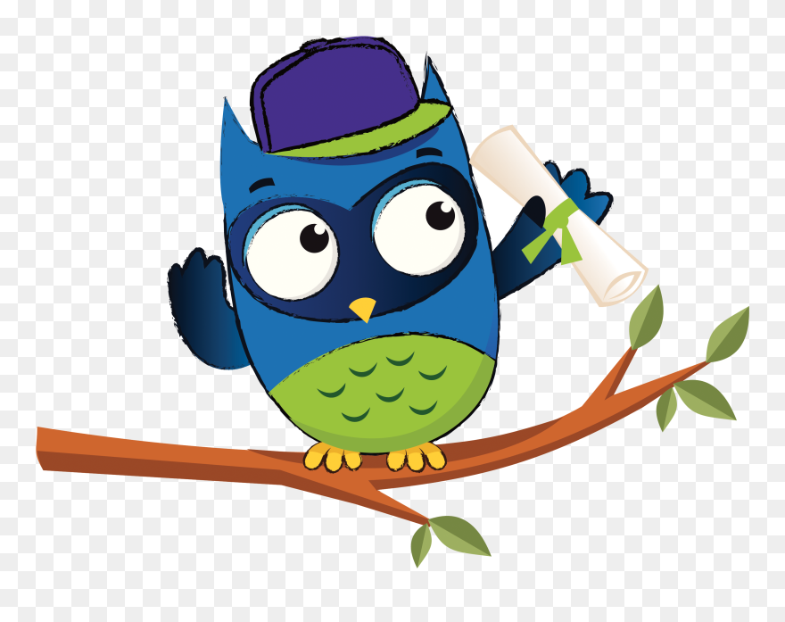Season Clipart Learning - Owl - Png Download