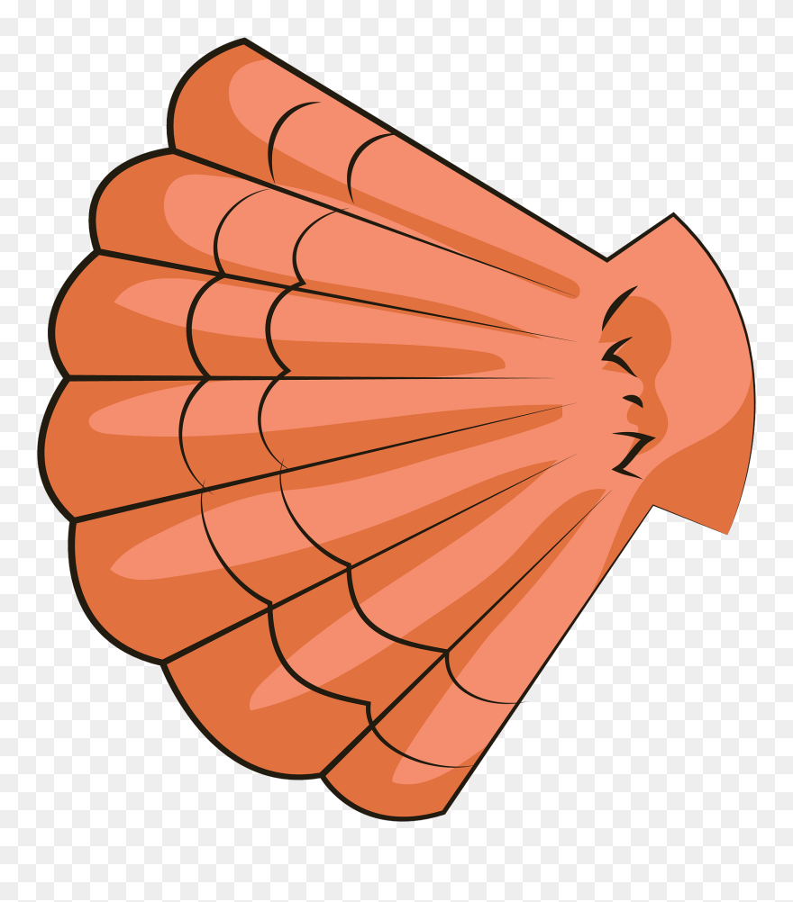 Sea Shell Clipart - Illustration - Png Download