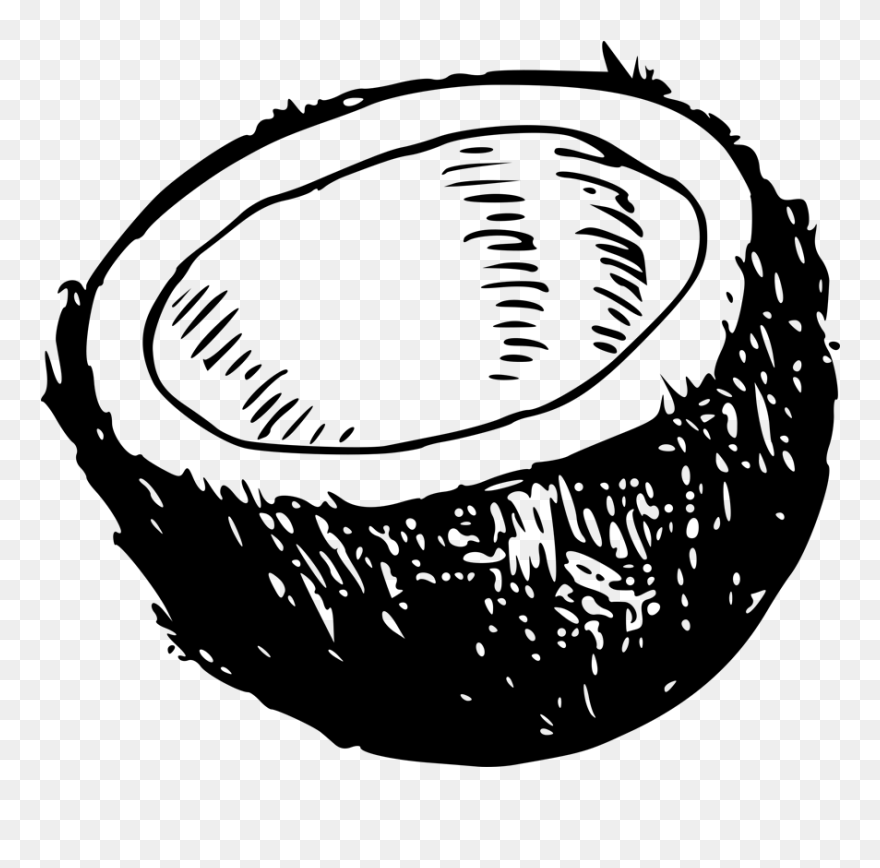 Shell Clipart Page - Coconut Shell Black And White - Png Download