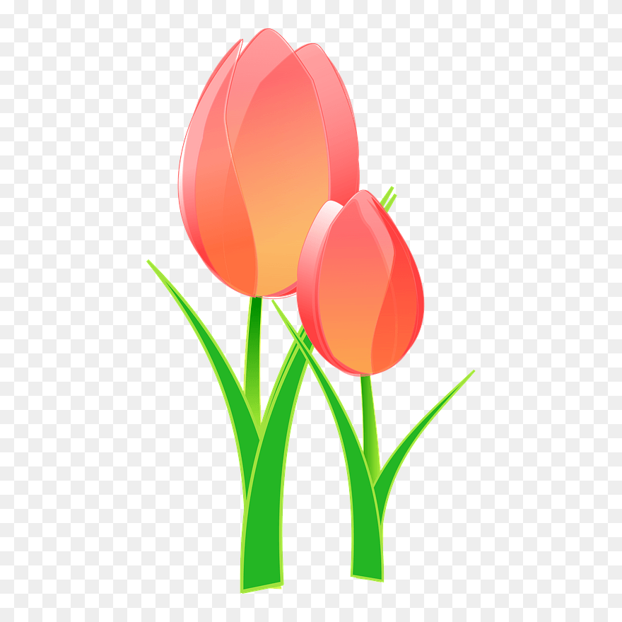 Tulips Clipart - Bible Verses About Joy - Png Download